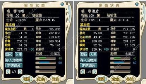 魔力宝贝私服新手成长指南 如何快速逆袭成高手