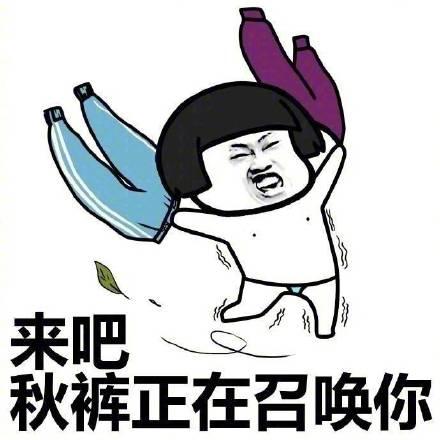 魔力宝贝私服宠物养成计划:打造最强伙伴 魔力宝贝私服宠物养成计划:打造最强伙伴
